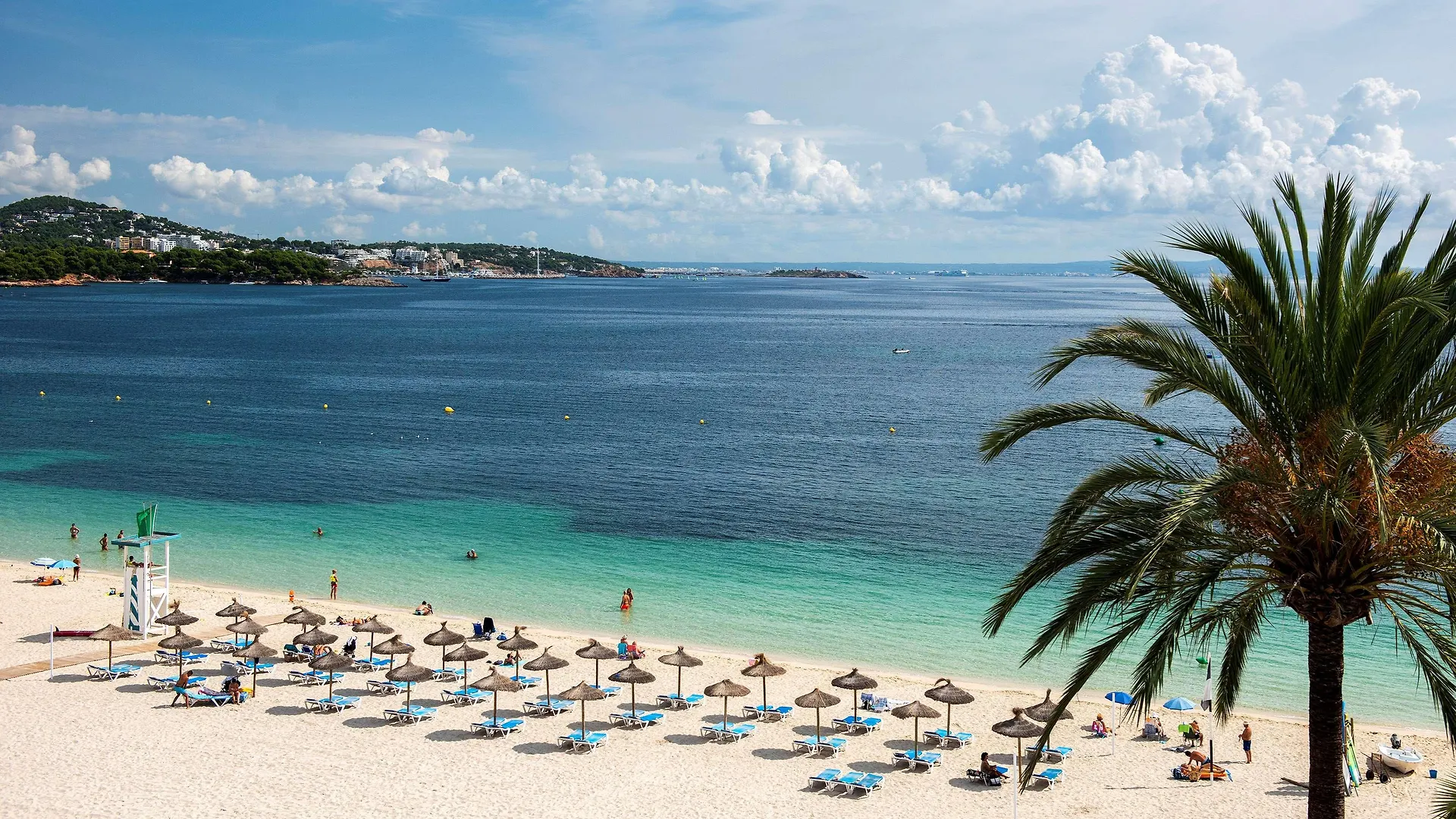 Zel Mallorca (Adults Only) Palma Nova  Spain