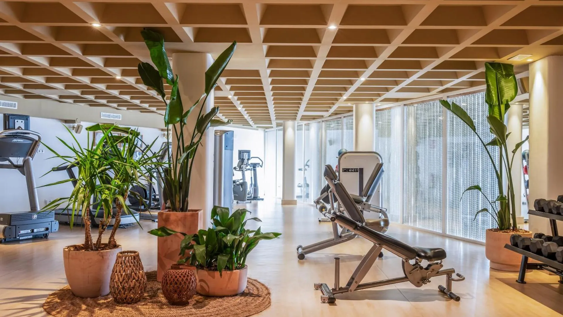 Zel Mallorca (Adults Only) Palma Nova