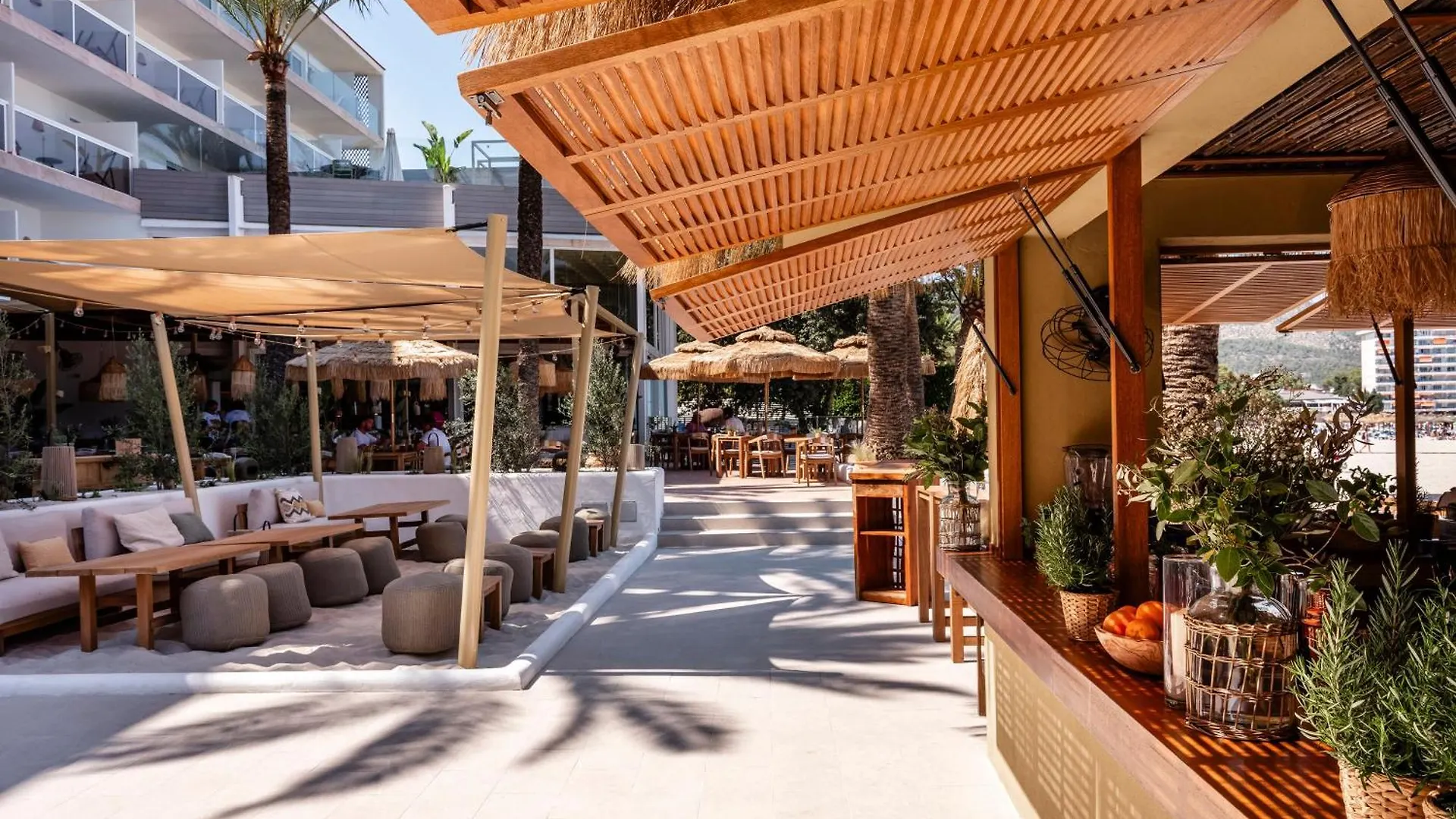 Zel Mallorca (Adults Only) Palma Nova  4*, Palma Nova (Mallorca)