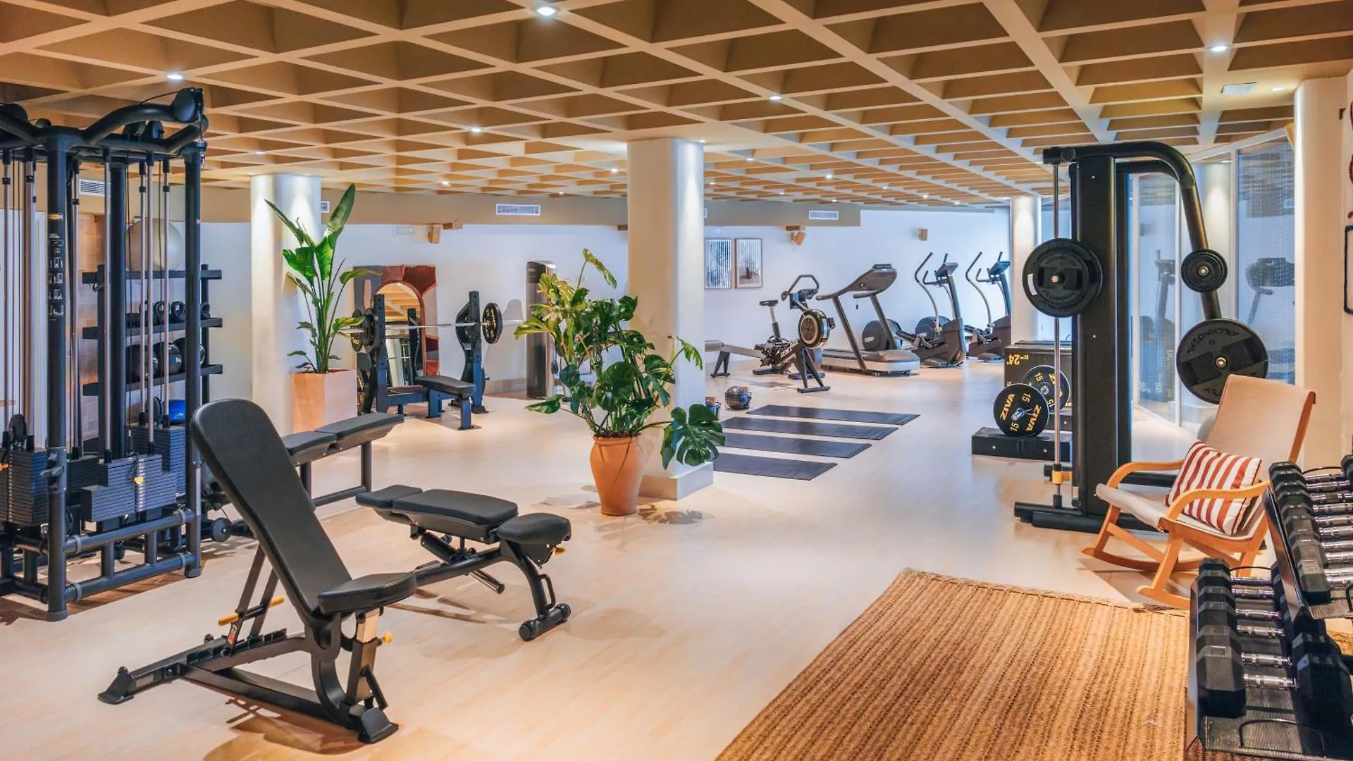 Zel Mallorca (Adults Only) Palma Nova  Spain